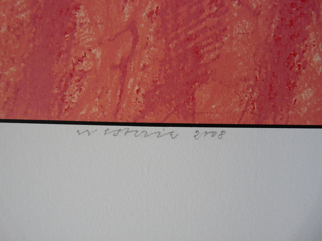 Co Westerik, zeefrduk, "kijken met je ogen dicht". kopen? Bied vanaf 99!