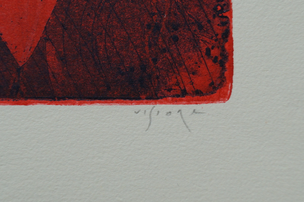 Mark Visione - gesigneerde ets - tierra del fuego kopen? Bied vanaf 25!