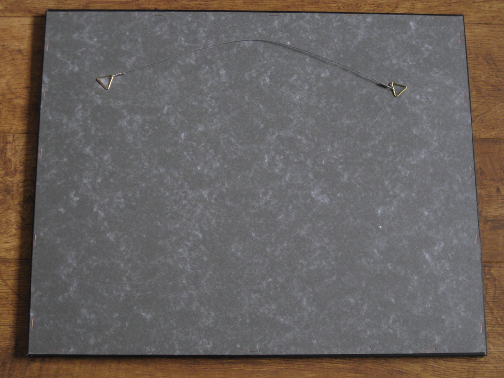  Cees Bolding kleurenetsOostpoort te Delft kopen? Bied vanaf 50!