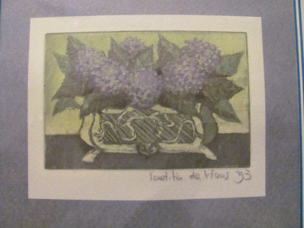 Laetitia de Haas (1948) - 7 voorstellingen kopen? Bied vanaf 50!