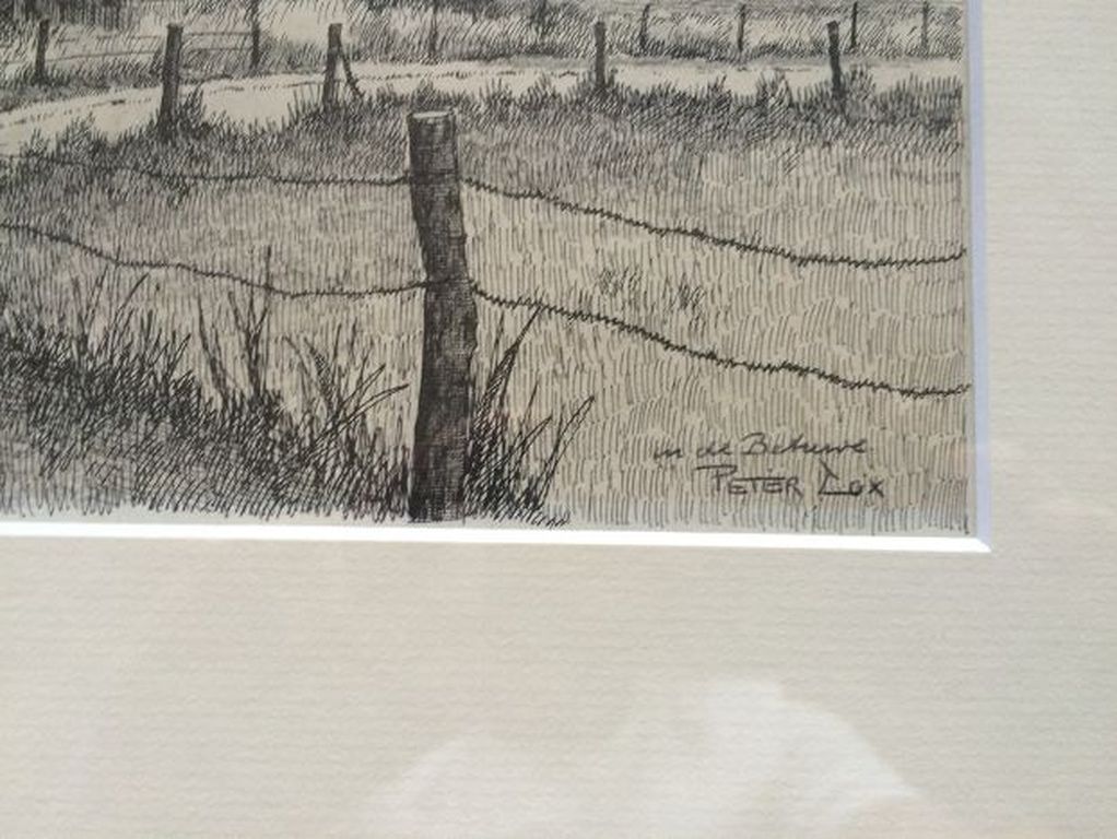 Peter Cox 1912 -1985 kopen? Bied vanaf 30!