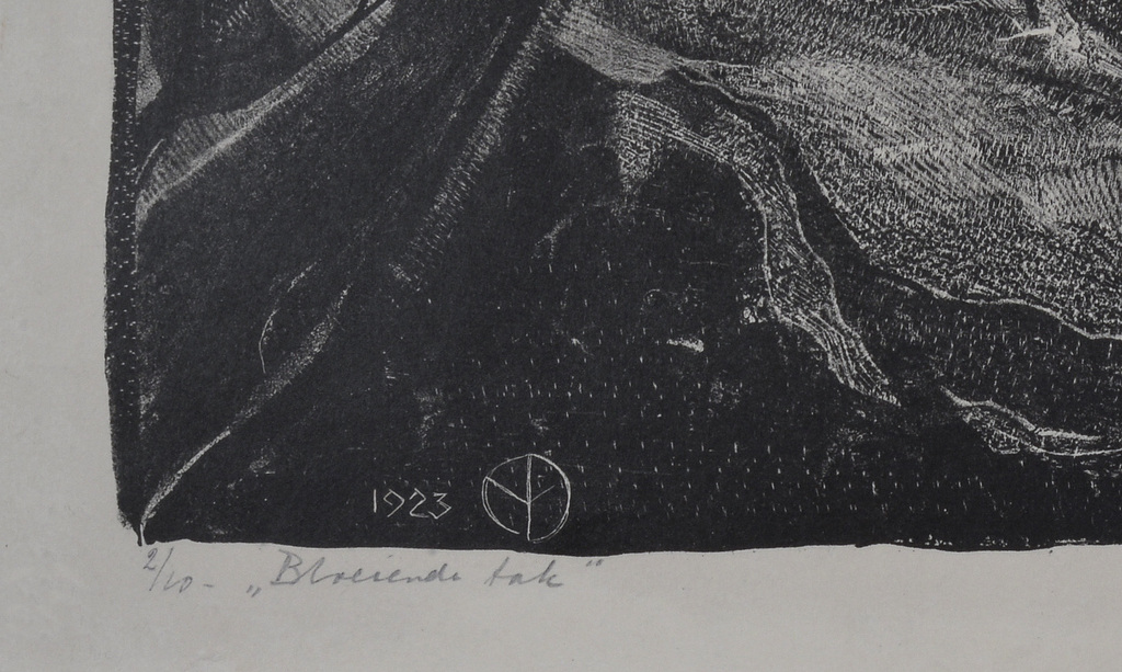 Aart van Dobbenburgh: Litho - Bloeiende tak - 1923 (2/10) - Zeldzaam kopen? Bied vanaf 65!