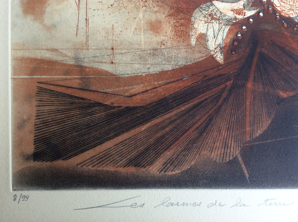 Renée Lubarow: kleurenets met reliefdruk, Les Larmes de la terre, ZZETS kopen? Bied vanaf 69!