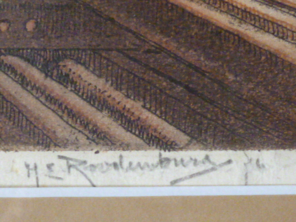 Hendrikus Elias Roodenburg - kleurenets - Hoogovens IJmuiden kopen? Bied vanaf 175!