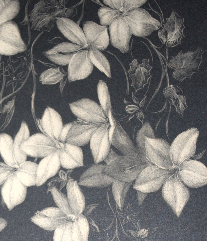 Litho bloemen - handgesigneerd kopen? Bied vanaf 35!
