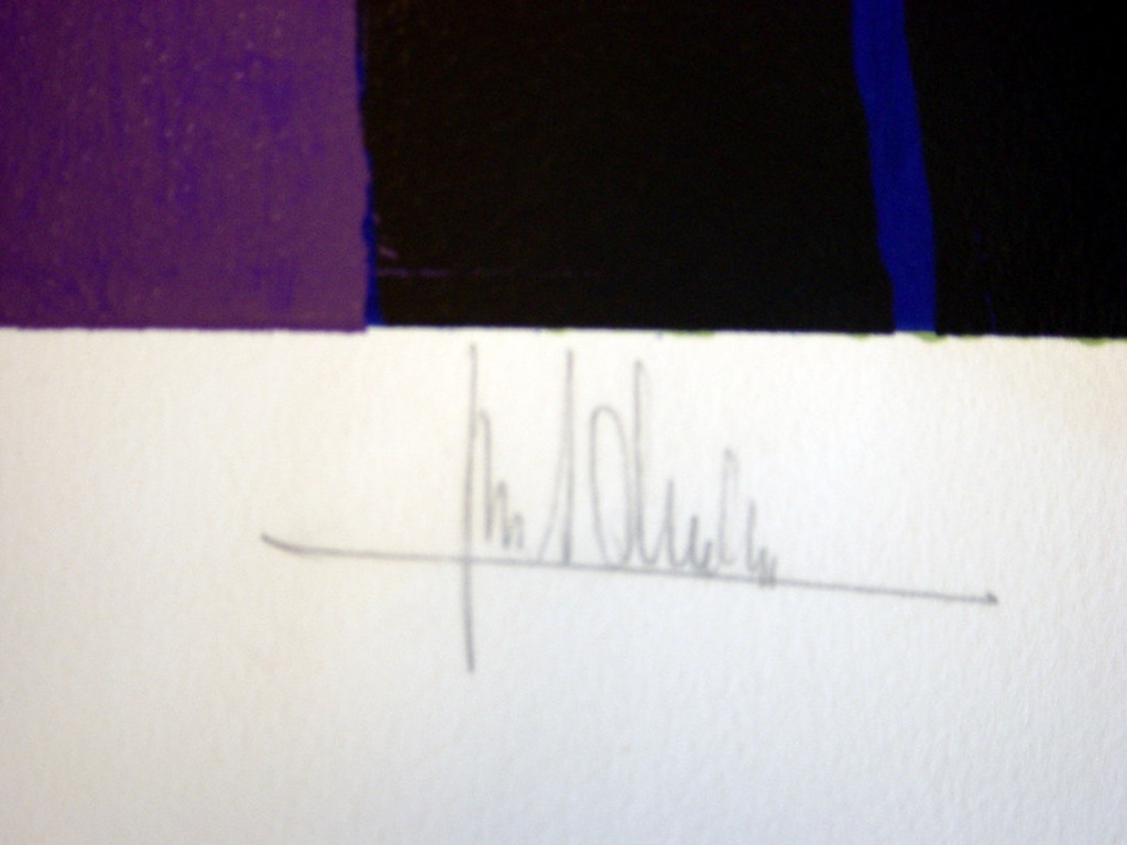 Ton Schulten - zeefdruk - In volle bloei 1999 kopen? Bied vanaf 375!