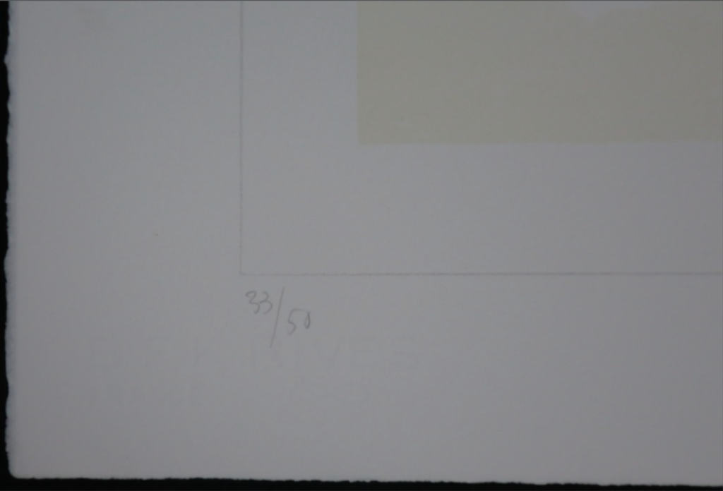 Walter Nobbe: Litho, Dubbelportret kopen? Bied vanaf 1!
