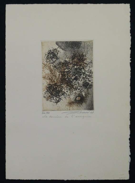 Renee Lubarow: Ets, Le domain de l'araignee kopen? Bied vanaf 20!