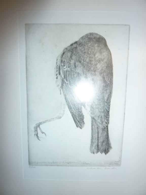 Charles Donker  kopen? Bied vanaf 95!