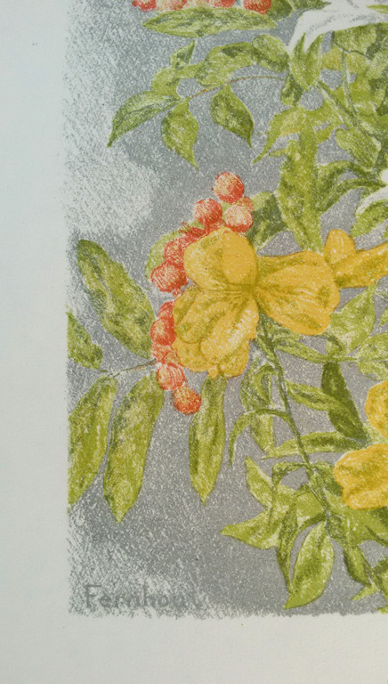 Edgar Fernhout - Bloemen, litho kopen? Bied vanaf 50!