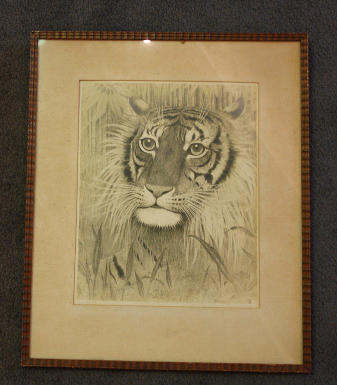 Theo van Hoytema, tijgerkop verkocht voor € 70!