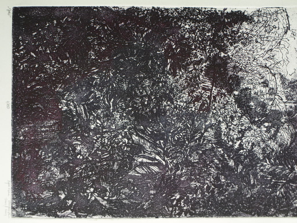 Onbekende kunstenaar : Ets – Titel: Ogdod – 2003/2004 – 49 x 21 cm  kopen? Bied vanaf 1!