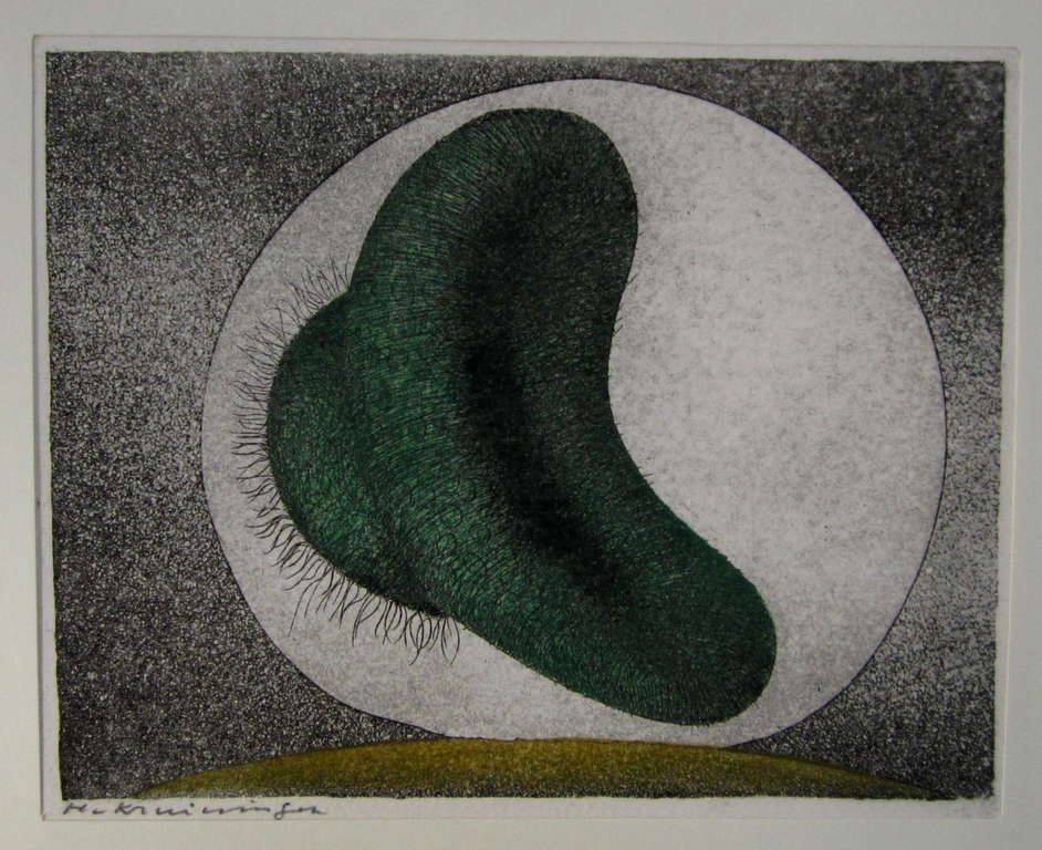 HARRY VAN KRUININGEN kleurenets verkocht voor € 50!