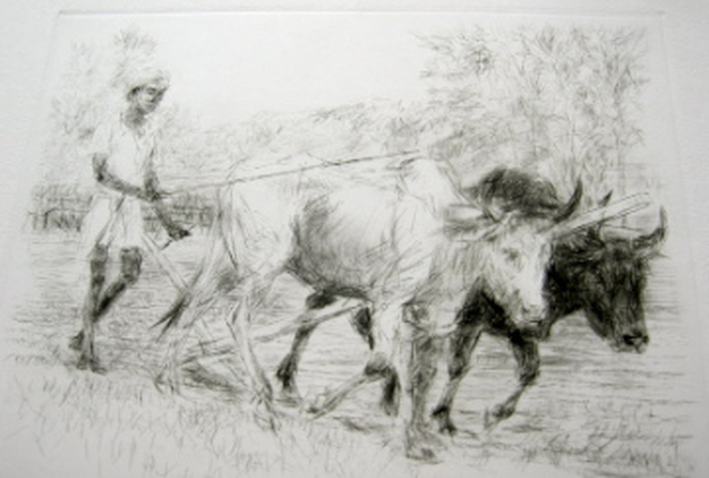 Piet Klaasse, ets: Bandhavgarh verkocht voor € 40!