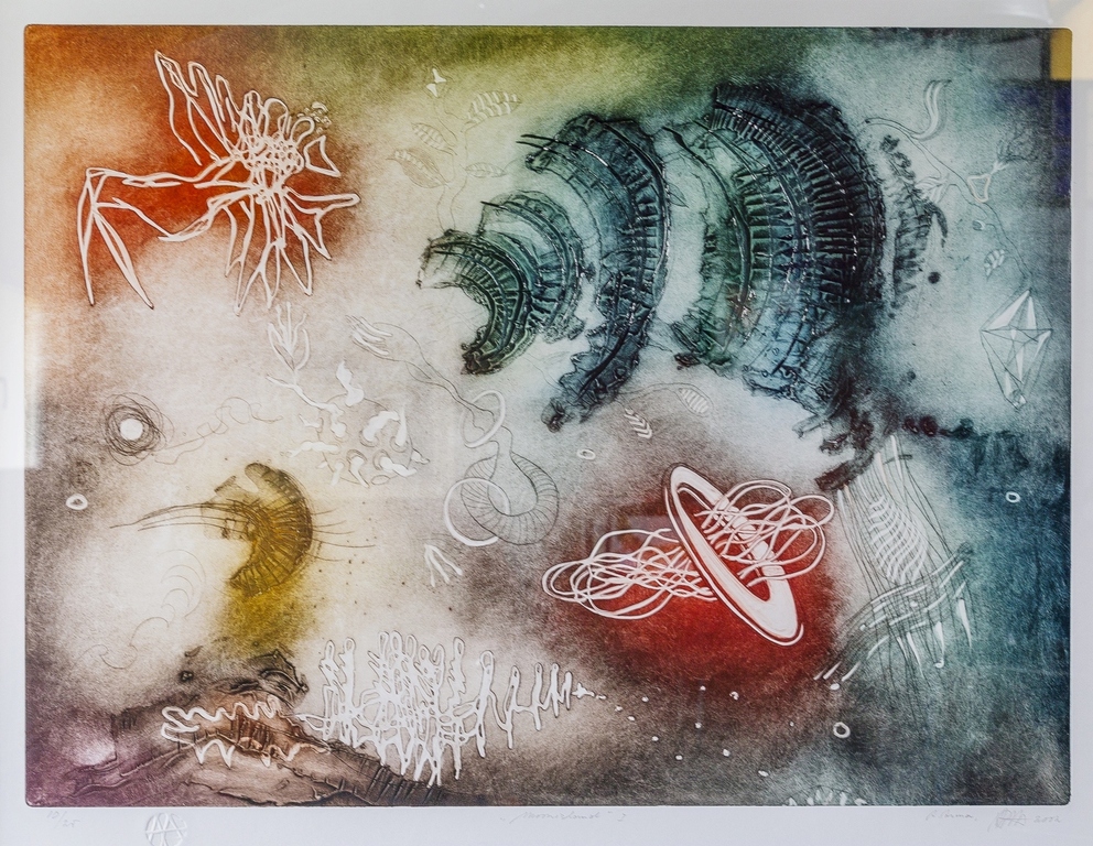 Ad Arma grote kleuren ets 'Moonisland I' - 2002 - ingelijst. verkocht voor € 100!