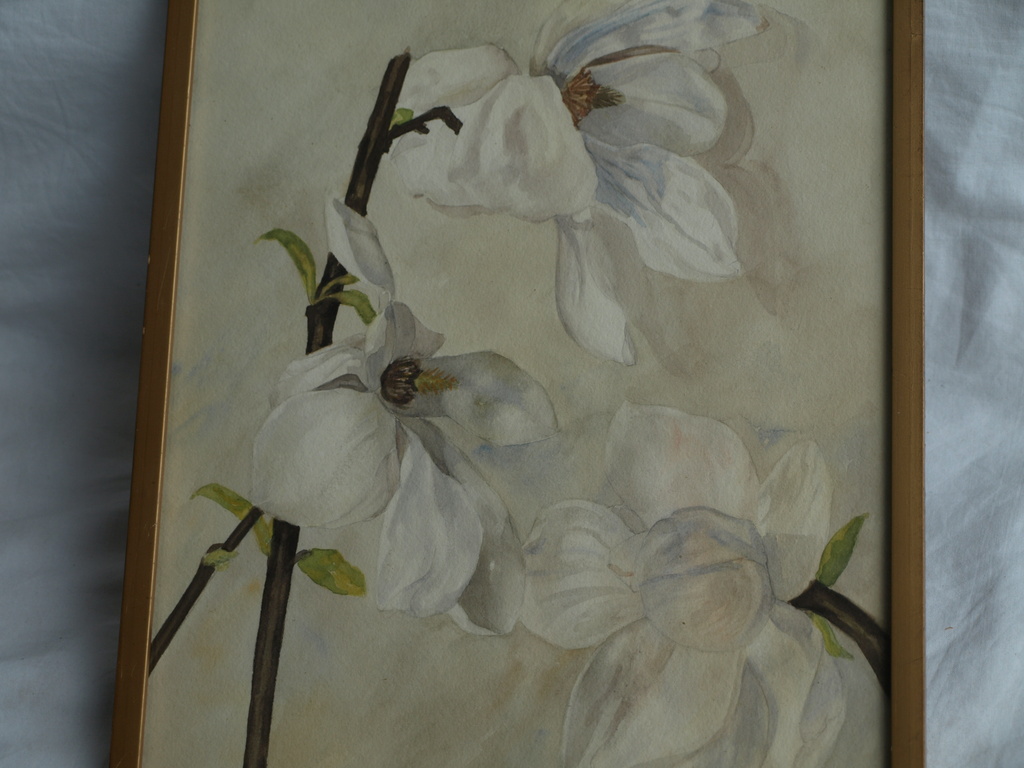 ThalÃ© Hulst: Aquarel â�� Magnolia, Tulpenboom - ingelijst - 1940  kopen? Bied vanaf 30!