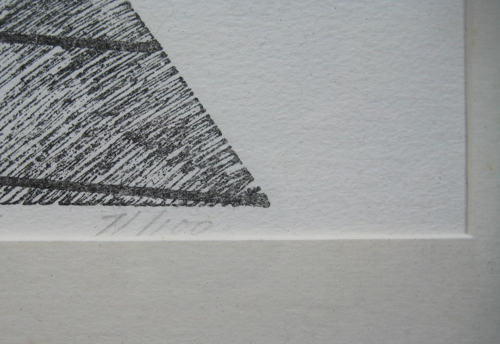 Chr. Paul Damsté, ets en zeefdruk, 1977, 7/100, in houten lijst kopen? Bied vanaf 45!