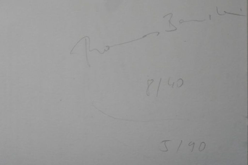 Hans van der Ham kopen? Bied vanaf 1!