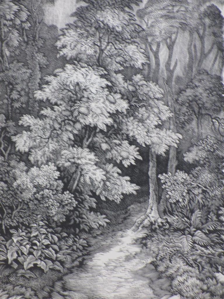 Thijs Mauve, Boslandschap, Houtgravure kopen? Bied vanaf 45!