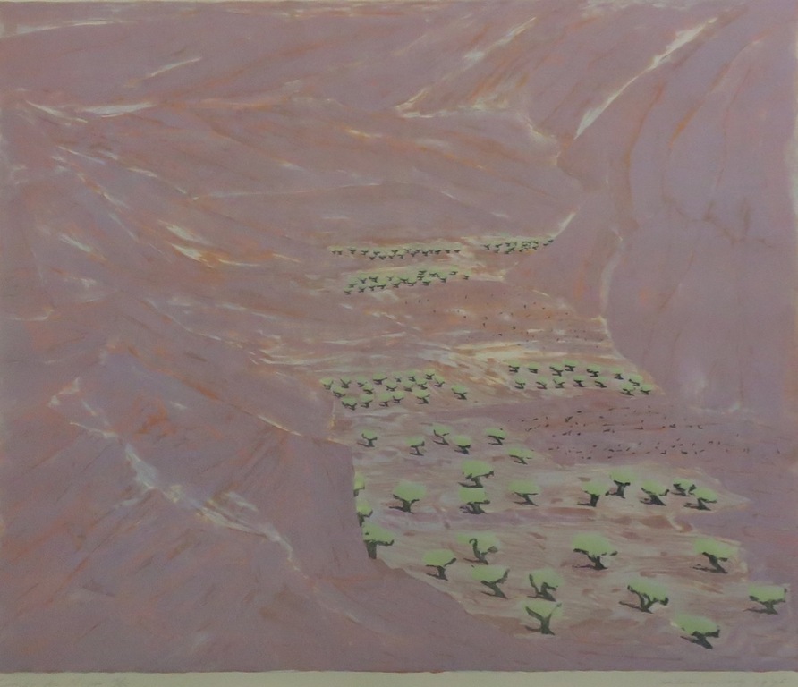 Jan Hein van Rooy: Litho, Campo di Nijar - Ingelijst kopen? Bied vanaf 1!