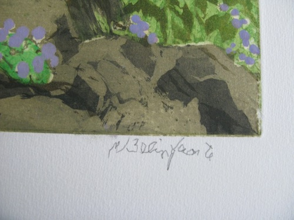 Willy Belinfante - LA MONTAGNE EST BELLE - kleurets - kopen? Bied vanaf 1!