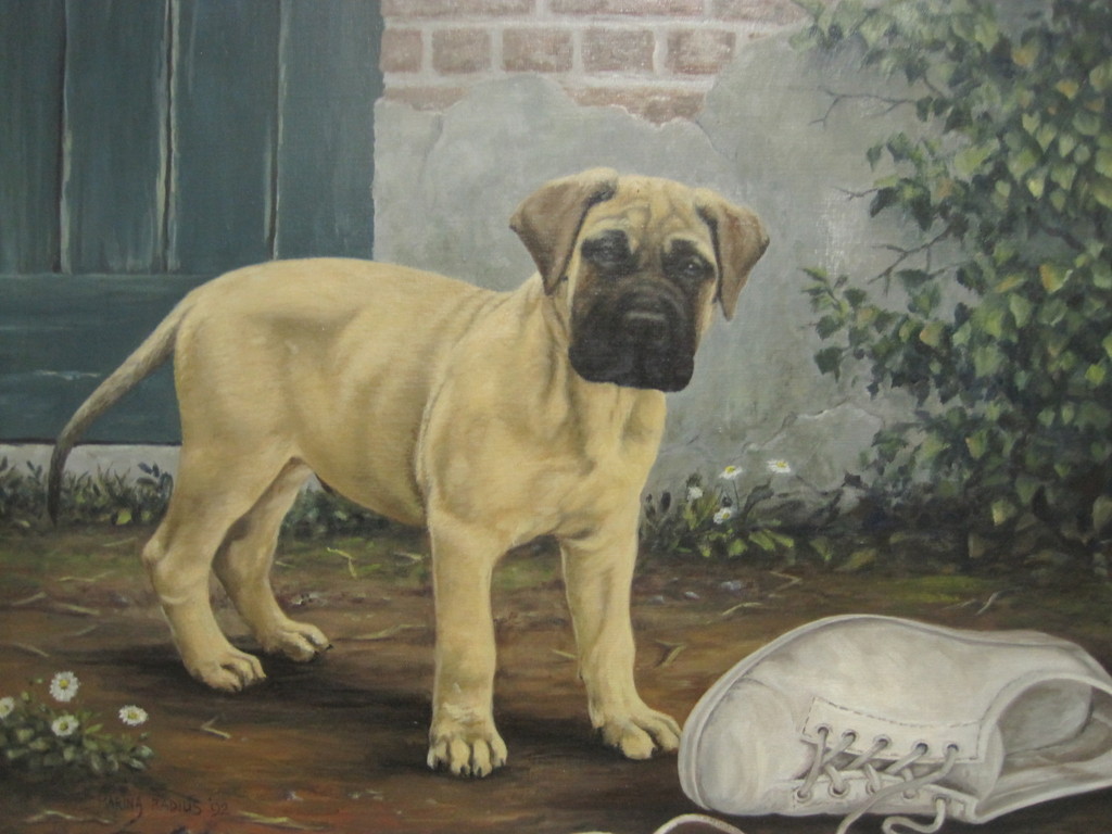 Marina Radius (1953-) "boxer pup met schoen" olieverf op doek 1992  kopen? Bied vanaf 70!