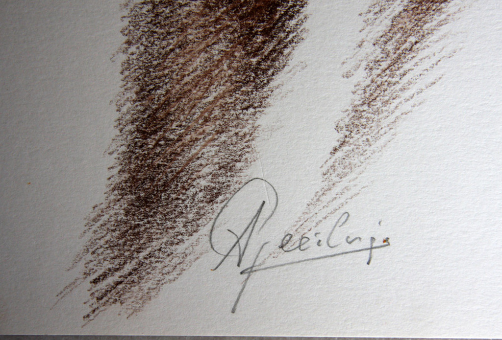 Anton Geerlings (1923), gemengde techniek op papier, vrouwelijk naakt kopen? Bied vanaf 60!