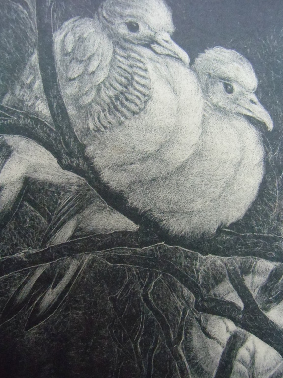 GESTREEPTE DUIFJES   ///   LITHO VAN INA RAHUSEN kopen? Bied vanaf 30!