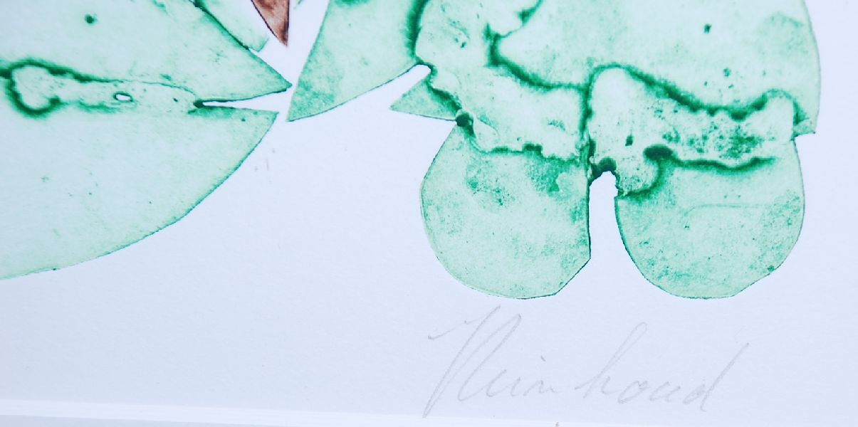 Reinhoud d'Haese: Ets Aquatint "Insect" -  in mooie lijst. kopen? Bied vanaf 250!