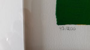 Corneille - Mooie Grote Corneille, gesigneerd kopen? Bied vanaf 425!