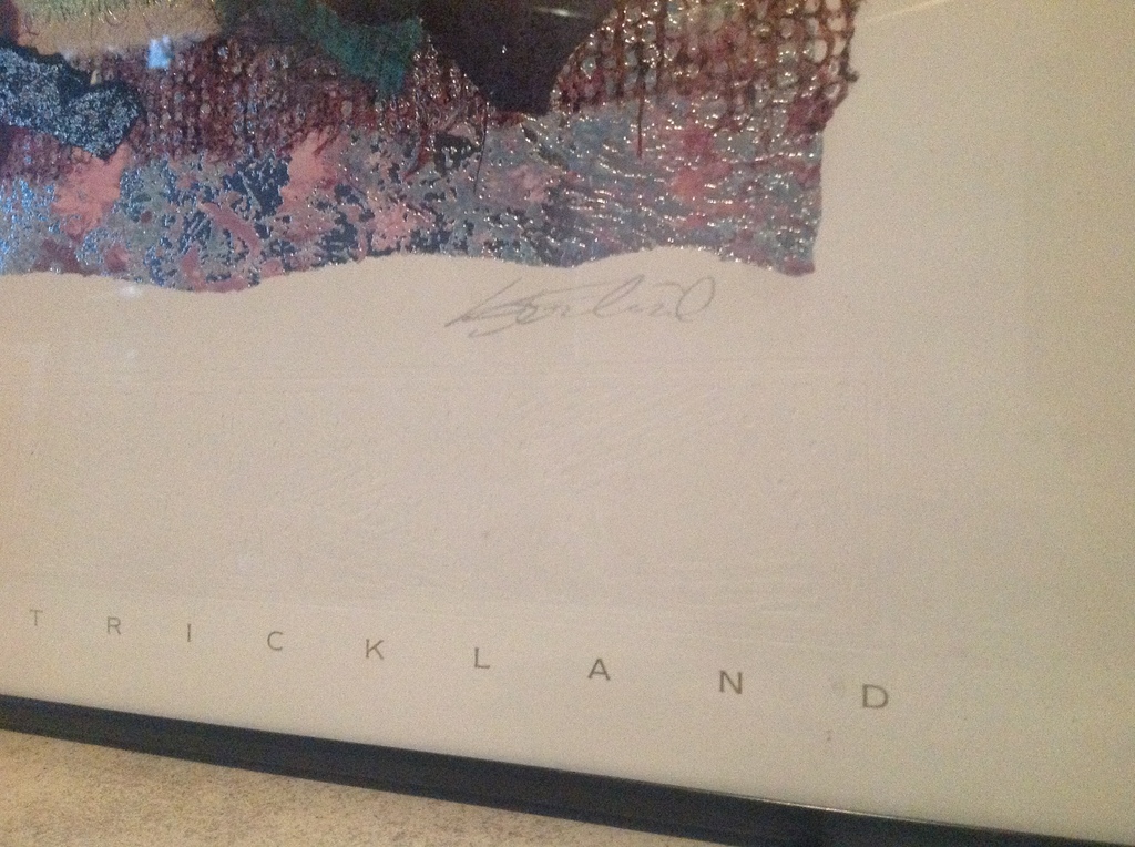 2x steve strickland  modern kopen? Bied vanaf 40!