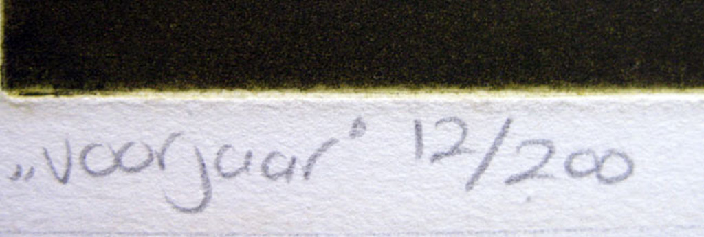 Laetitia de Haa - VOORJAAR - kleurets kopen? Bied vanaf 1!