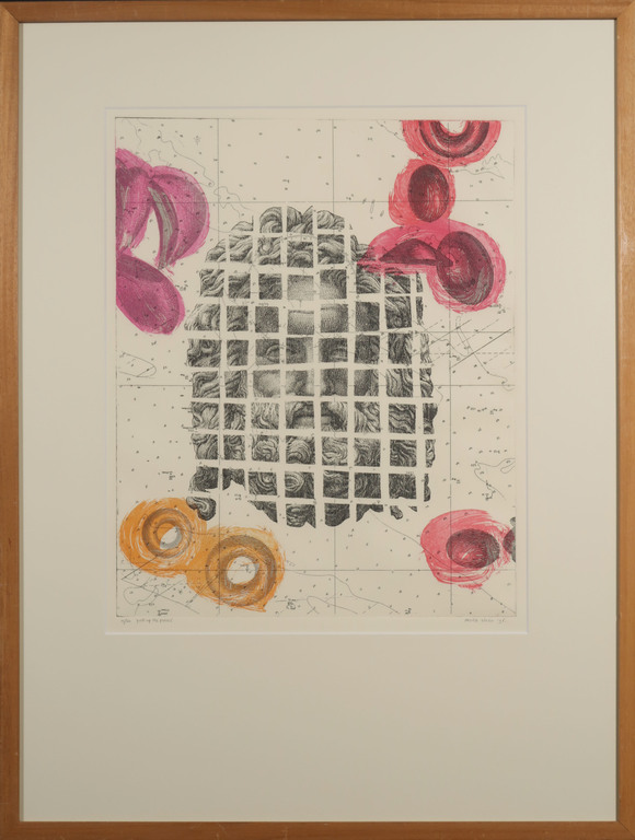 Harald Vlugt: Ets, Pick up his pieces - Ingelijst verkocht voor € 45!