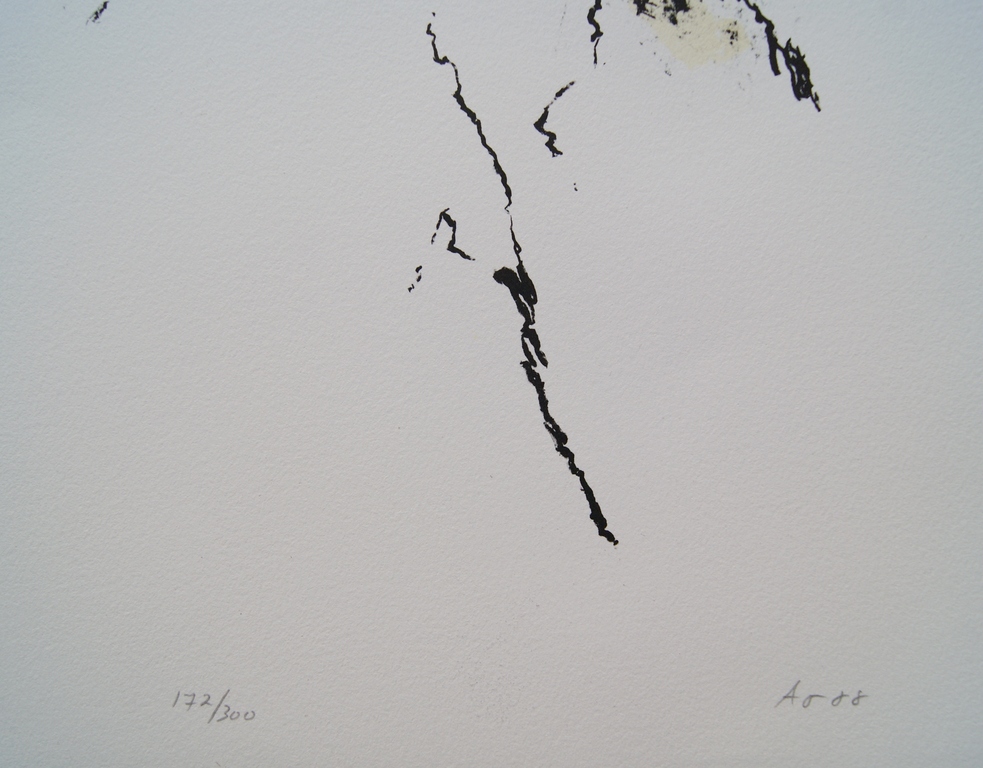 Armando litho 'Der Baum' - 1988 kopen? Bied vanaf 250!