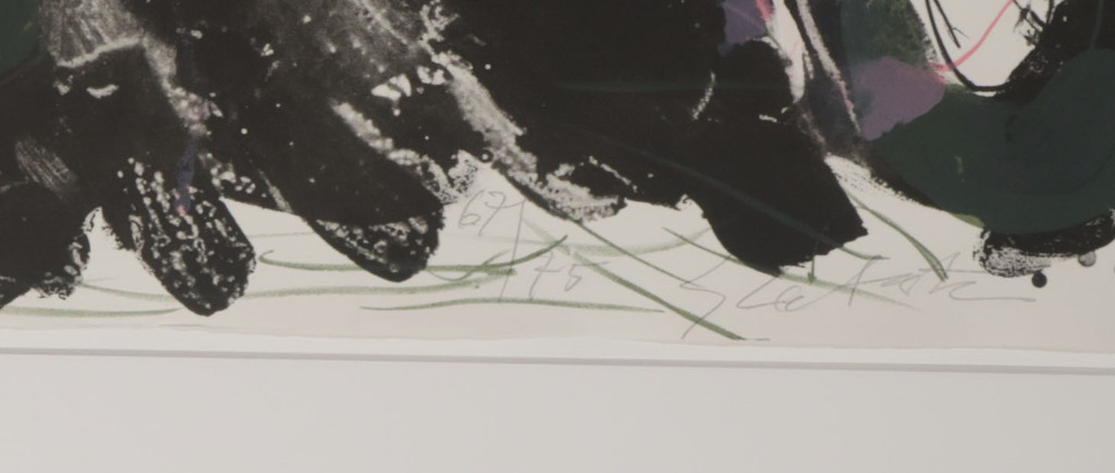 Ger Lataster: Litho, Donkere tuin - Ingelijst kopen? Bied vanaf 50!