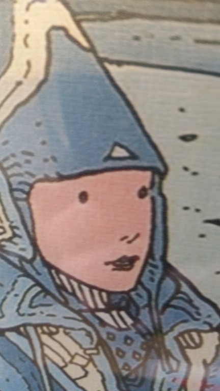 Jean GIRAUD MOEBIUS  zeefdruk  gesigneerd kopen? Bied vanaf 100!