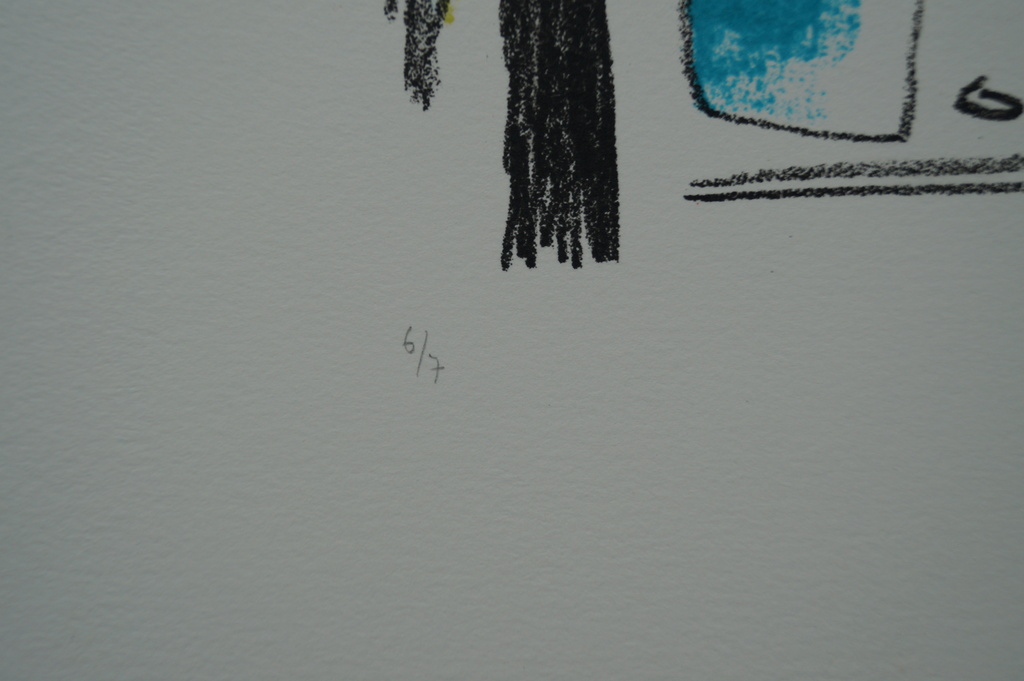 Elisabeth van Vreeswijk - gesigneerde litho - 2006  kopen? Bied vanaf 1!