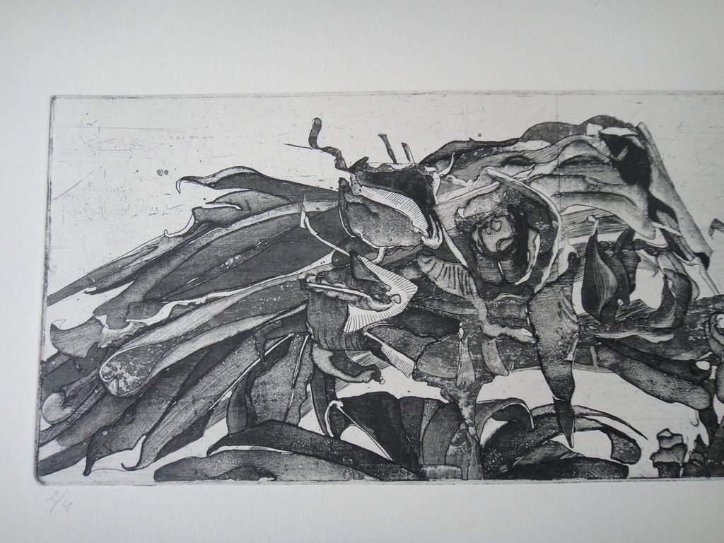 Jan Prins (1956) - (zeldzame) ets - tropische bloemen II kopen? Bied vanaf 1!