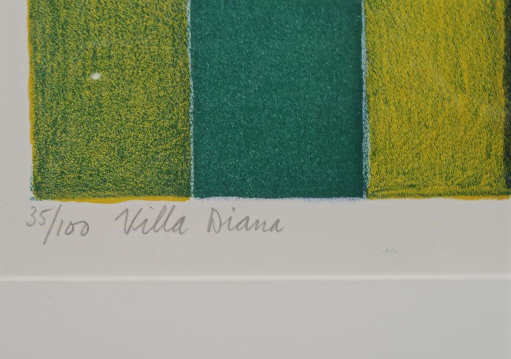 Fenneke van der Elst: Litho, Villa Diana - Ingelijst (Groot) kopen? Bied vanaf 1!