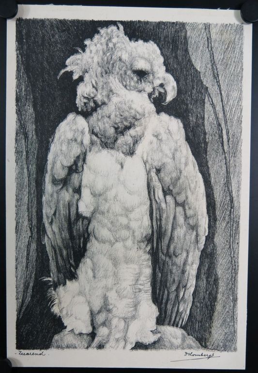 Dirk Homberg: 2x Litho, Bokjes en Zeearend kopen? Bied vanaf 35!