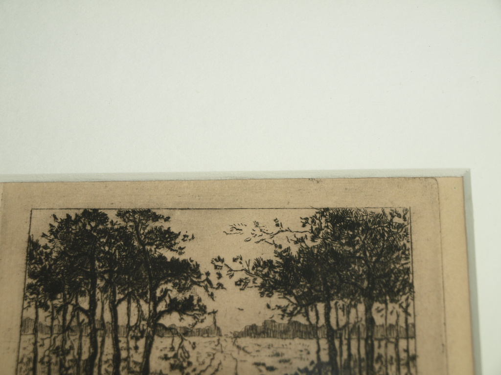 SUZE DE LINT (1878-1953) – Ets- Landschap  –Gesigneerd & ingelijst–ca 1920 kopen? Bied vanaf 1!
