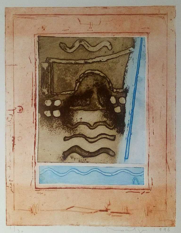 Jan Montyn: kleurets/aquatint, Source du Mekong, Tibet - ingelijst kopen? Bied vanaf 160!