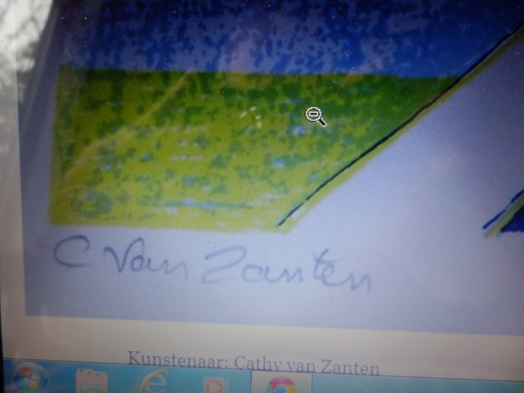 CATHY VAN ZANTEN  Zeefdruk  Handgesigneerd kopen? Bied vanaf 20!