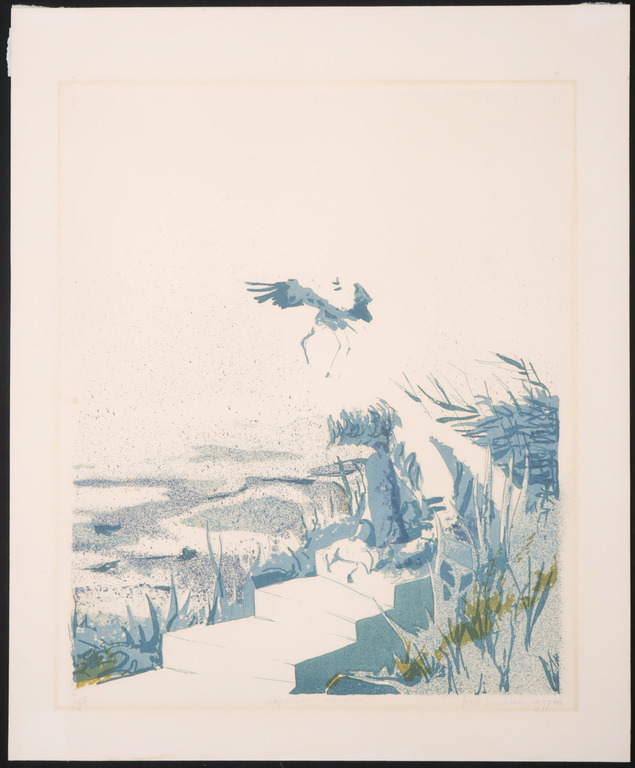 Fred Thoolen: Litho, Slapende meeuw kopen? Bied vanaf 1!