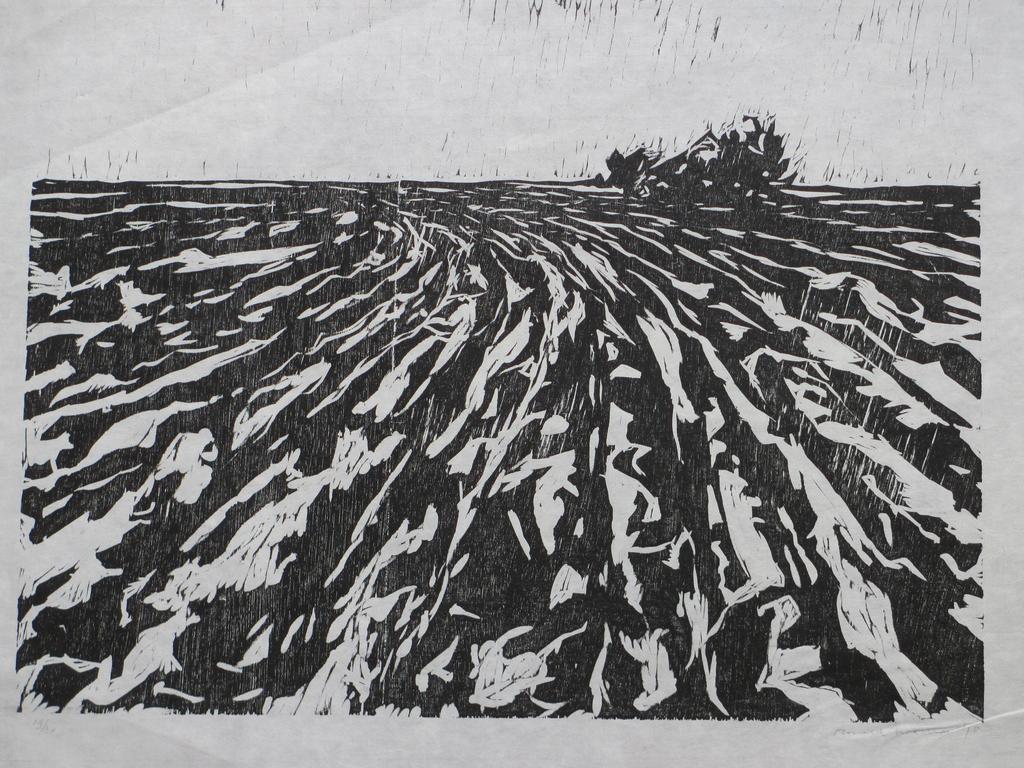 Ronald Noorman, Landschap, Houtsnede verkocht voor € 65!