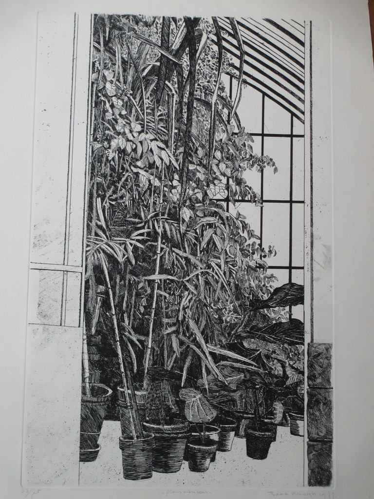 Joost Minnigh, Plantenkas, Ets 1977 verkocht voor € 45!