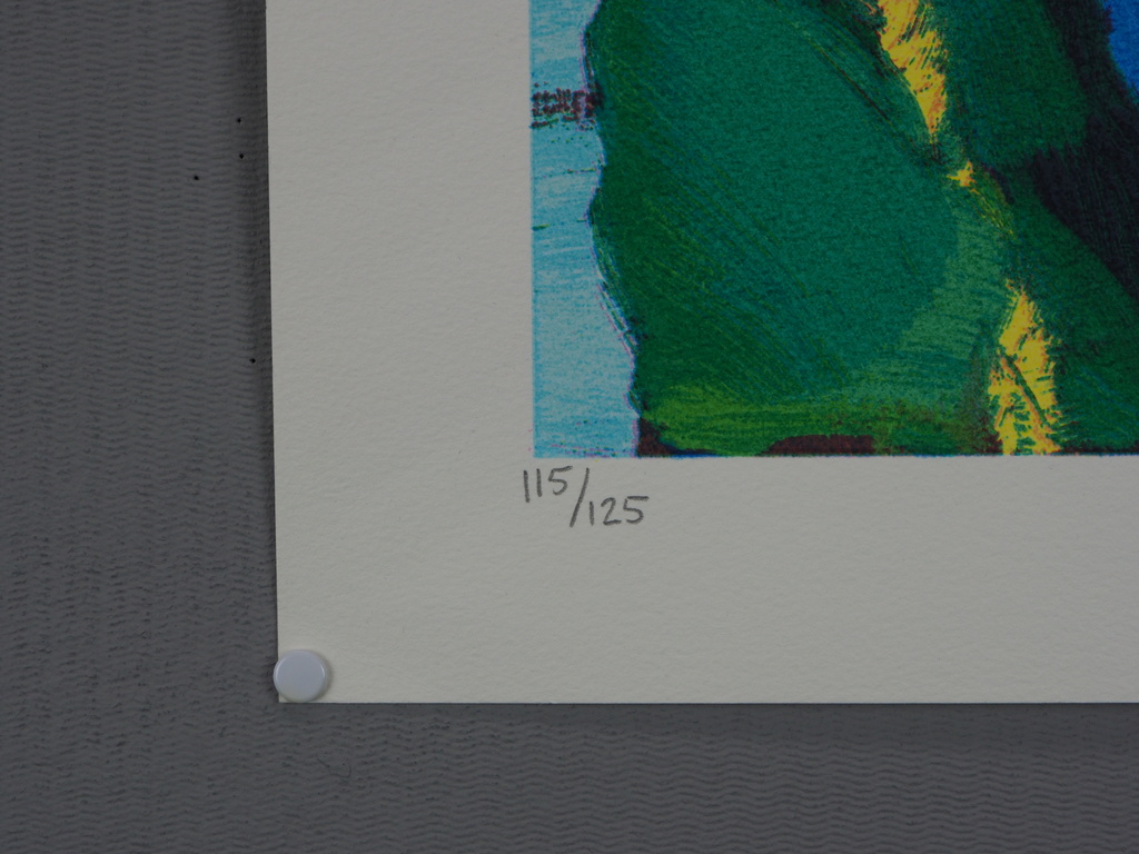 Jentsje Popma - Jentsje Popma: zeefdruk, Bollenveld kopen? Bied vanaf 50!