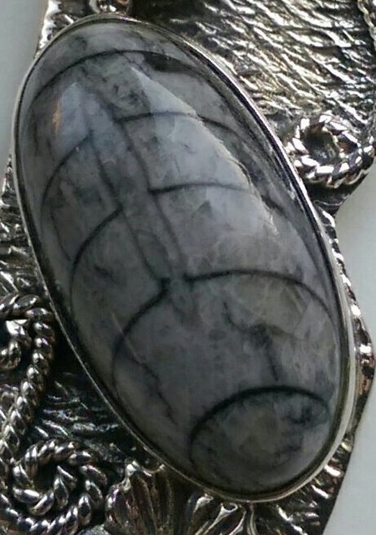 Zilveren design hanger met orthoceras  kopen? Bied vanaf 11!