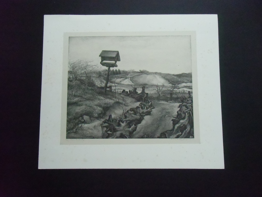DUINLANDSCHAP /// LITHO VAN AART VAN DOBBENBURGH verkocht voor € 50!