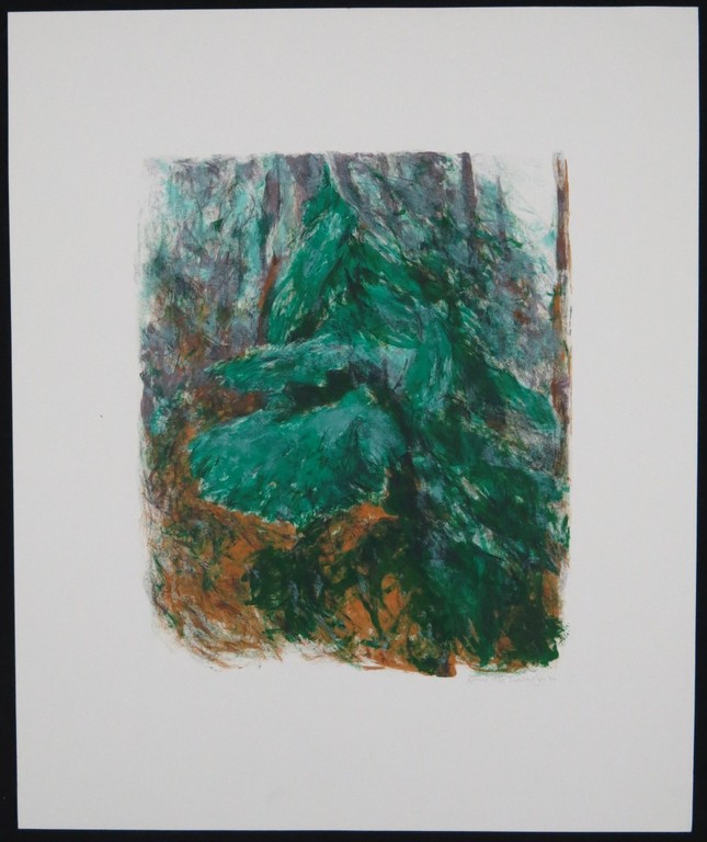 Marian Plug: Litho, Noord kopen? Bied vanaf 1!